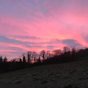 Forest View - Castlewellan, County Down Belfast