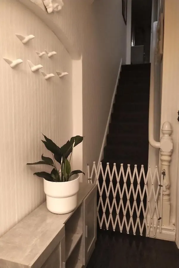 بلفاست Budget Single Room 0*,  المملكة المتحدة
