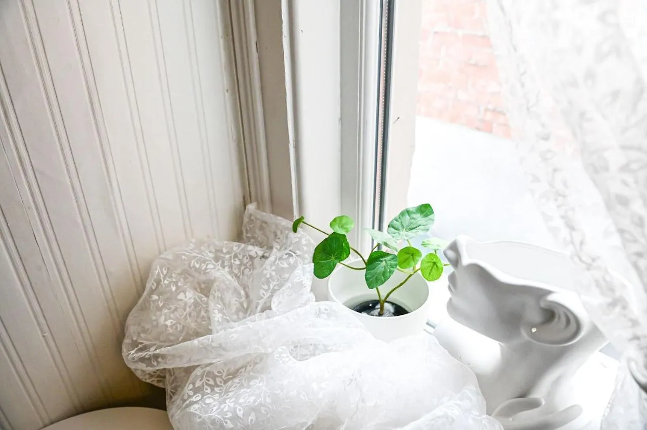 بلفاست Budget Single Room منزل للإقامة