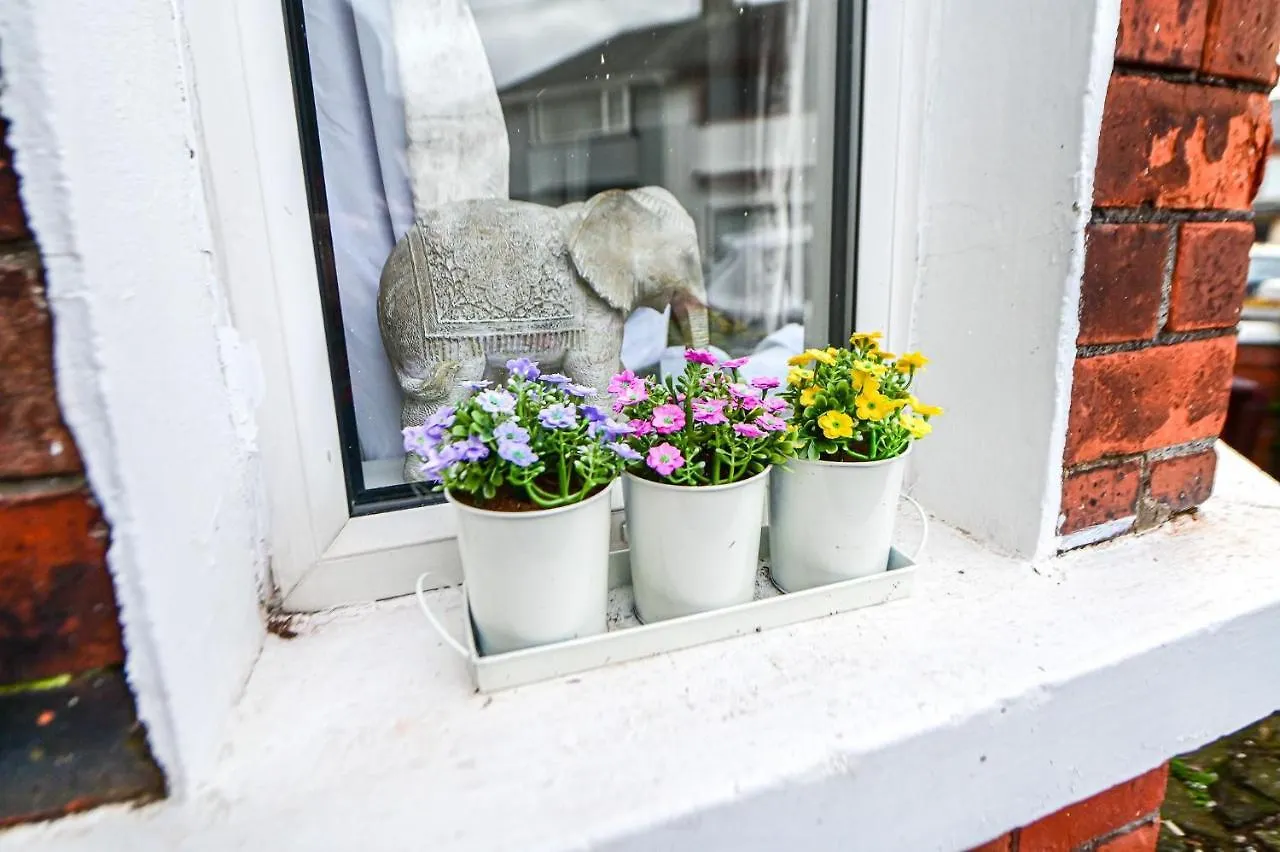 بلفاست Budget Single Room منزل للإقامة
